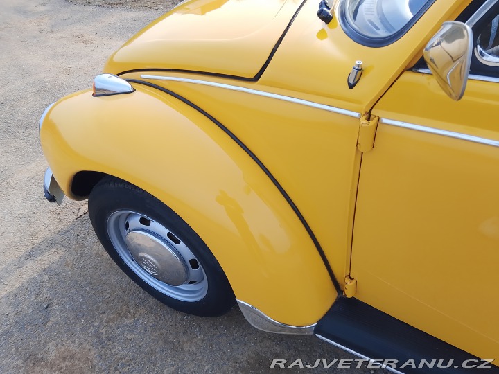 Volkswagen Brouk 1973