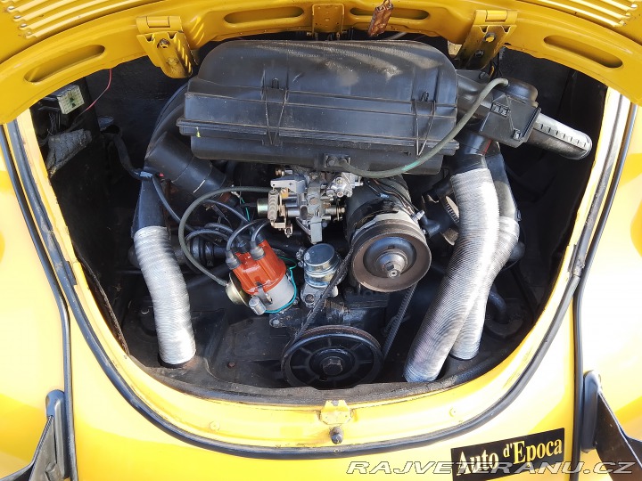 Volkswagen Brouk 1973