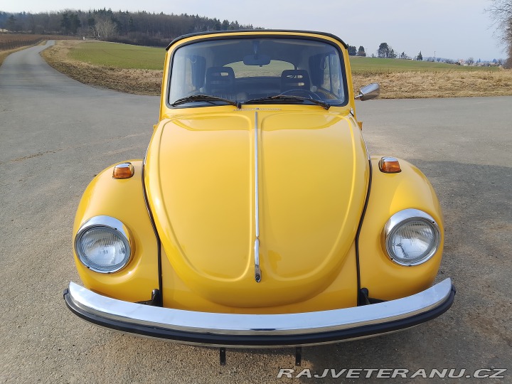 Volkswagen Brouk 1973