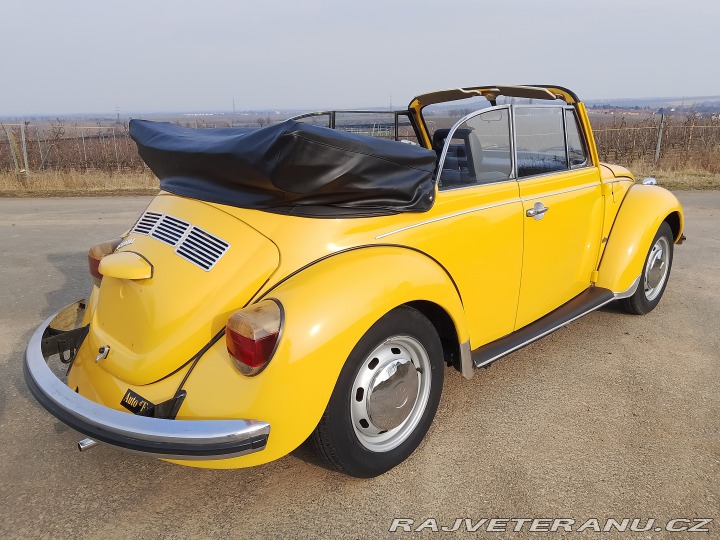 Volkswagen Brouk 1973