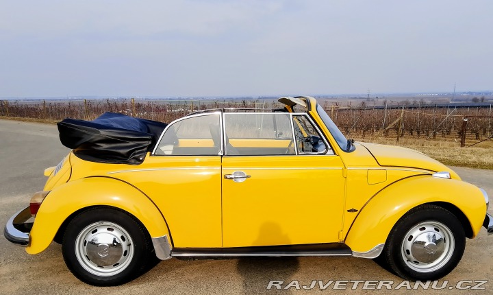 Volkswagen Brouk 1973