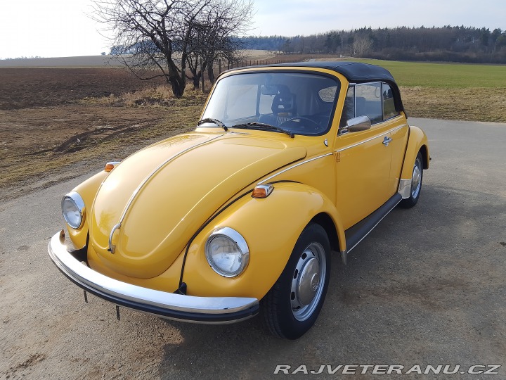 Volkswagen Brouk 1973