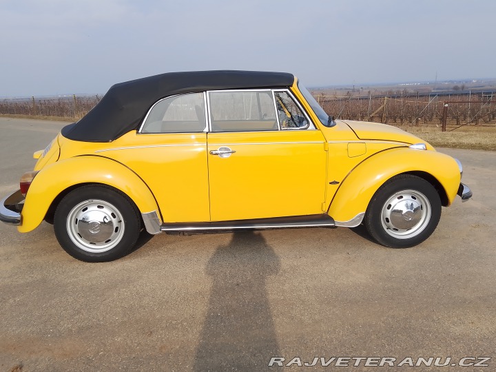 Volkswagen Brouk 1973
