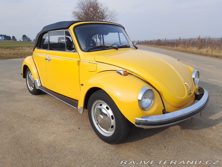 Volkswagen Brouk 1973