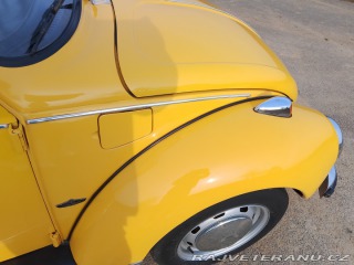 Volkswagen Brouk 1973