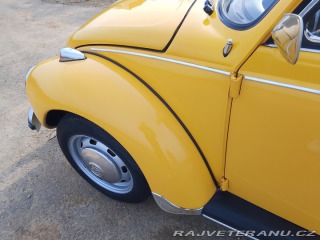 Volkswagen Brouk 1973