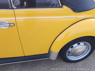 Volkswagen Brouk 1973