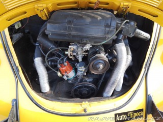 Volkswagen Brouk 1973