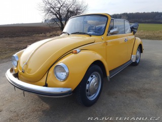 Volkswagen Brouk 1973