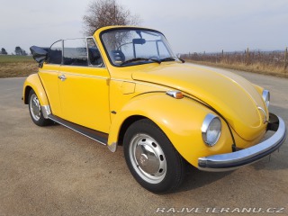 Volkswagen Brouk 1973