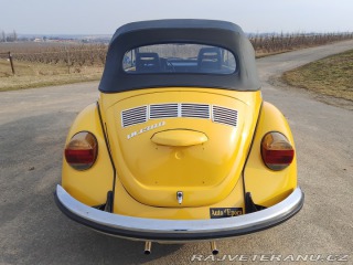 Volkswagen Brouk 1973