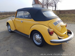 Volkswagen Brouk 1973