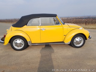 Volkswagen Brouk 1973