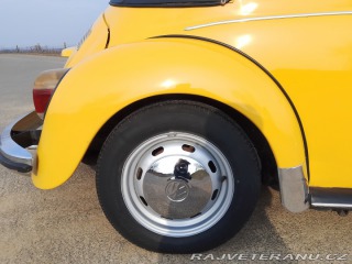 Volkswagen Brouk 1973