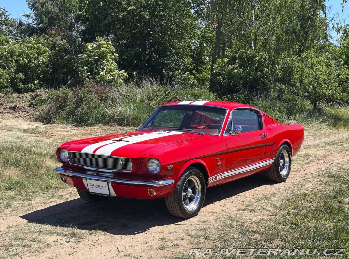 Ford Mustang Fastback 1965