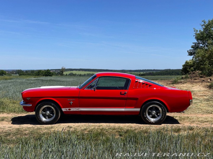 Ford Mustang Fastback 1965