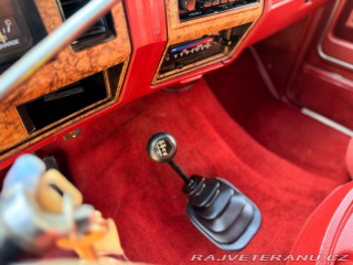 Ford Bronco 5.8 V8 4x4 | XLT 1986