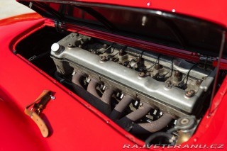 Alfa Romeo 2600 SPORT “DISCO VOLANTE TRIBUTO” 1964