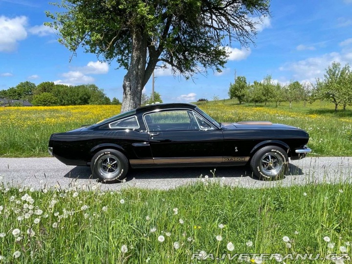 Ford Mustang Fastback GT350H 1965
