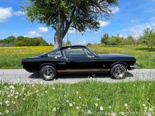 Ford Mustang Fastback GT350H 1965