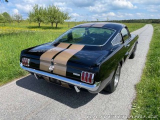 Ford Mustang Fastback GT350H 1965