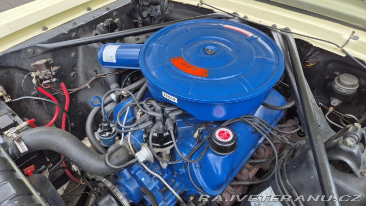 Ford Mustang v8 1966