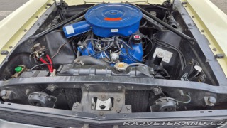 Ford Mustang v8 1966
