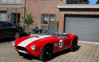Ostatní značky Ostatní modely AC Cobra 289 1967