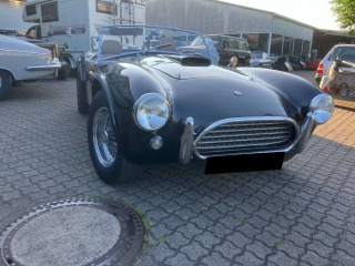   AC Cobra BRA Replika