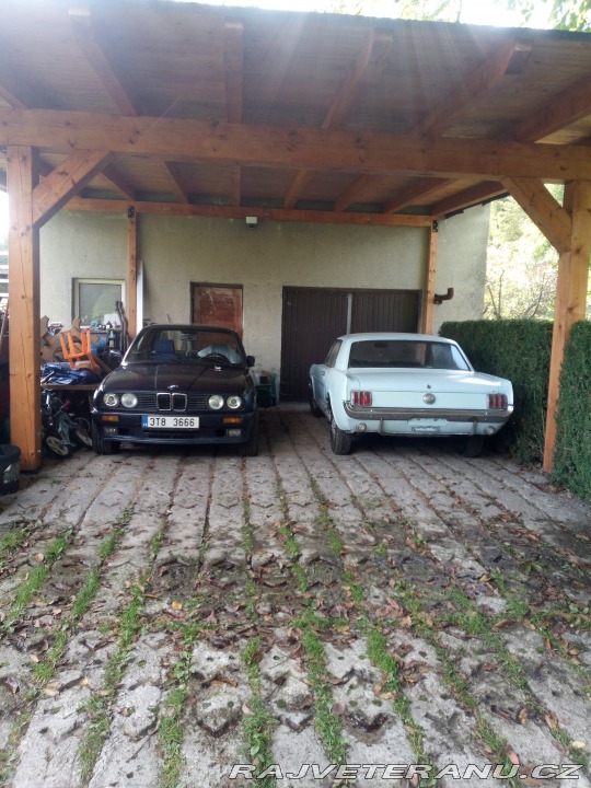 Ford Mustang Coupe v8 1966