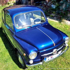 Fiat 600 600D 1964