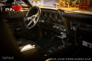 Ford Torino Grantorino 1974
