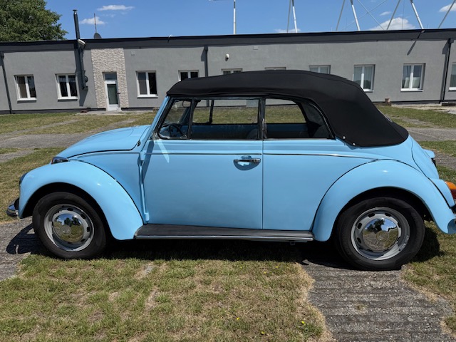Volkswagen Brouk