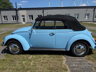 Volkswagen Brouk 