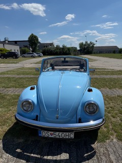 Volkswagen Brouk 1968