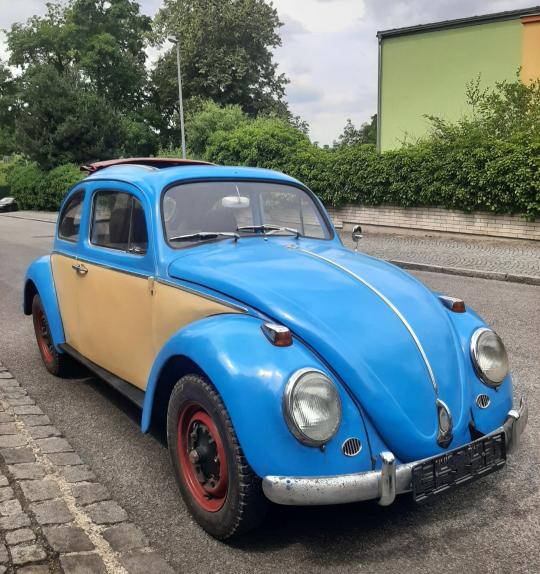Volkswagen Brouk 11/1300