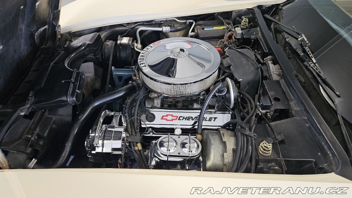 Chevrolet Corvette  1981