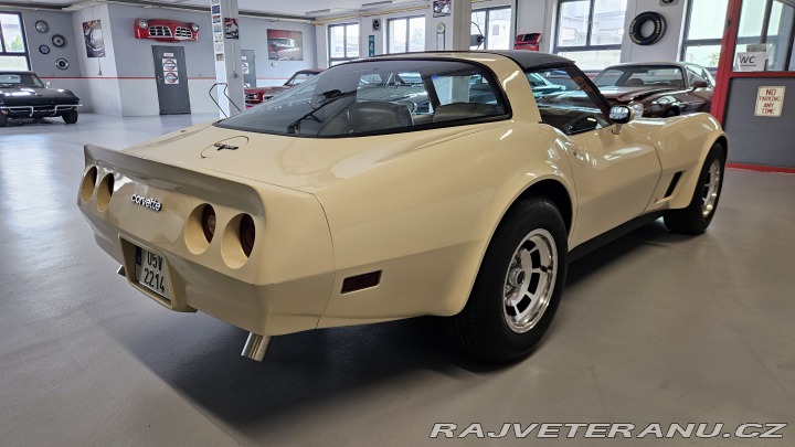 Chevrolet Corvette  1981