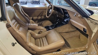 Chevrolet Corvette  1981