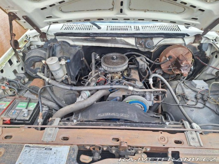 Ford V8 F100 V8 1979