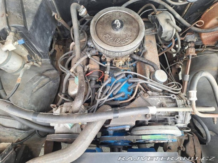 Ford V8 F100 V8 1979