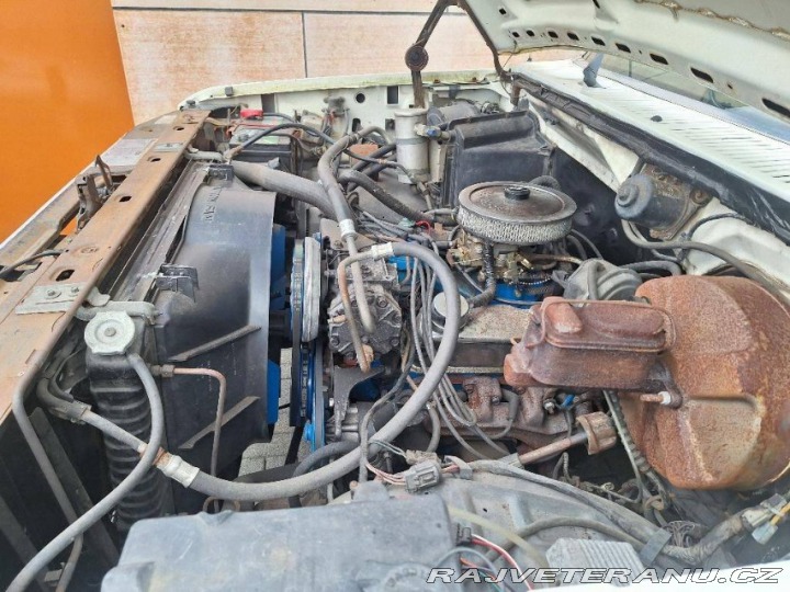 Ford V8 F100 V8 1979