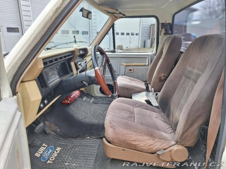 Ford V8 F100 V8 1979