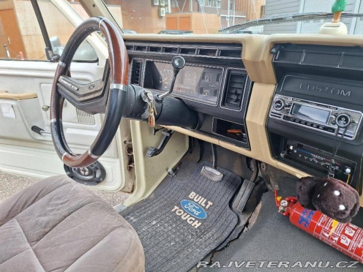 Ford V8 F100 V8 1979