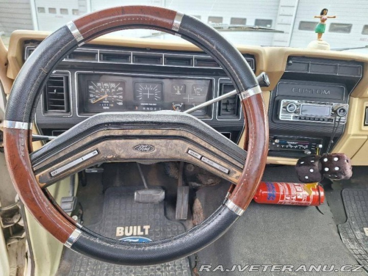 Ford V8 F100 V8 1979