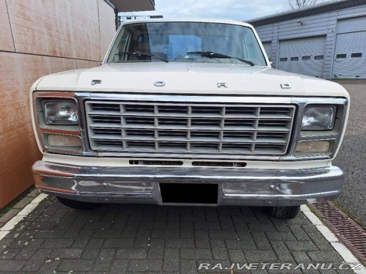 Ford V8 F100 V8 1979