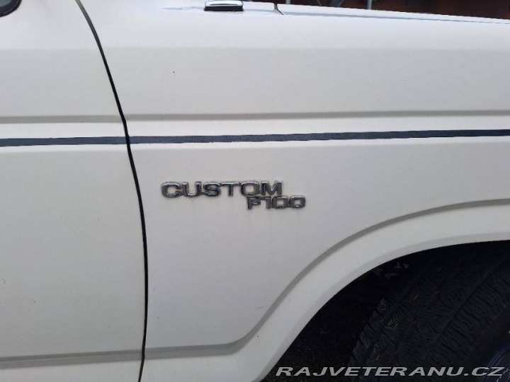 Ford V8 F100 V8 1979