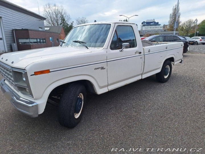 Ford V8 F100 V8 1979