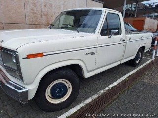 Ford V8 F100 V8 1979