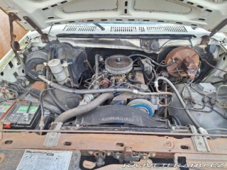 Ford V8 F100 V8 1979